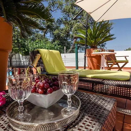 빌라 Spacious Villa For 10 With Private Pool Near Albufeira *